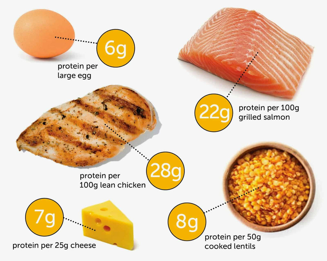Proteinsources