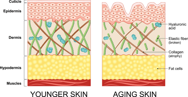 younger-older-skin-compressor