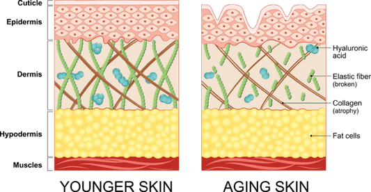 younger-older-skin-compressor