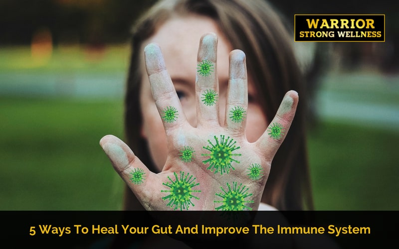 5 Ways to Heal Your Gut and Improve the Immune System