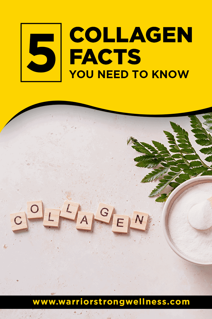 5 Collagen Facts You Need to Know – Warrior Strong Wellness
