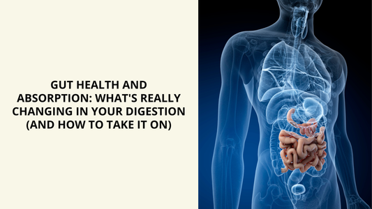 Gut Health and Absorption: What's Really Changing in Your Digestion (and How to Take It On)