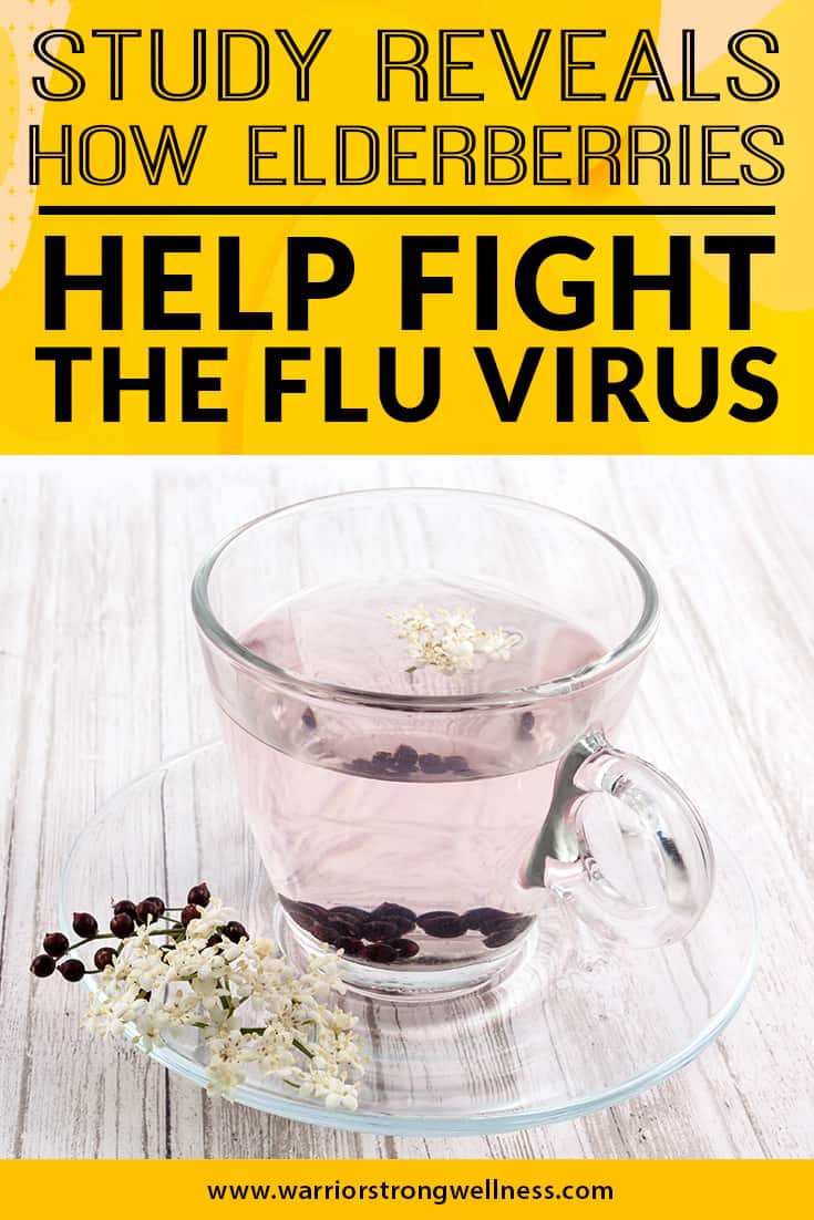 flu virus, Elderberry Supplement