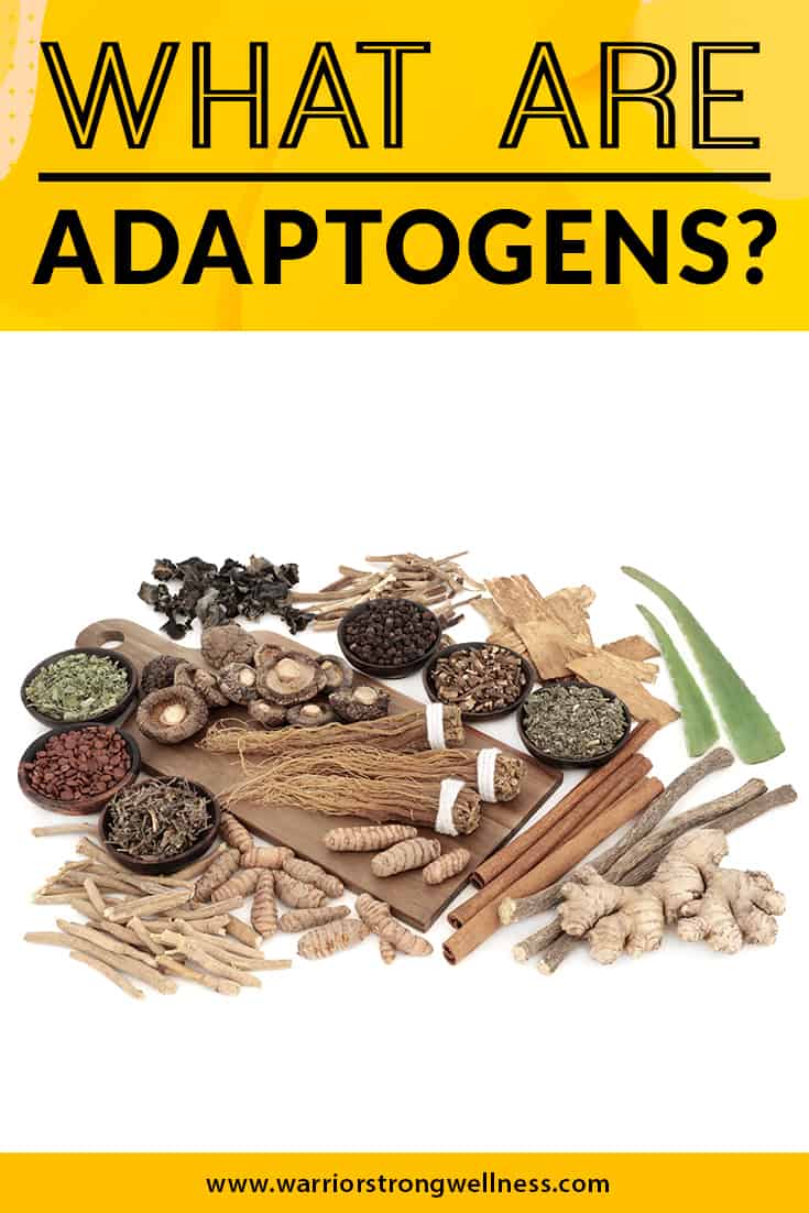 What Are Adaptogens? – Warrior Strong Wellness